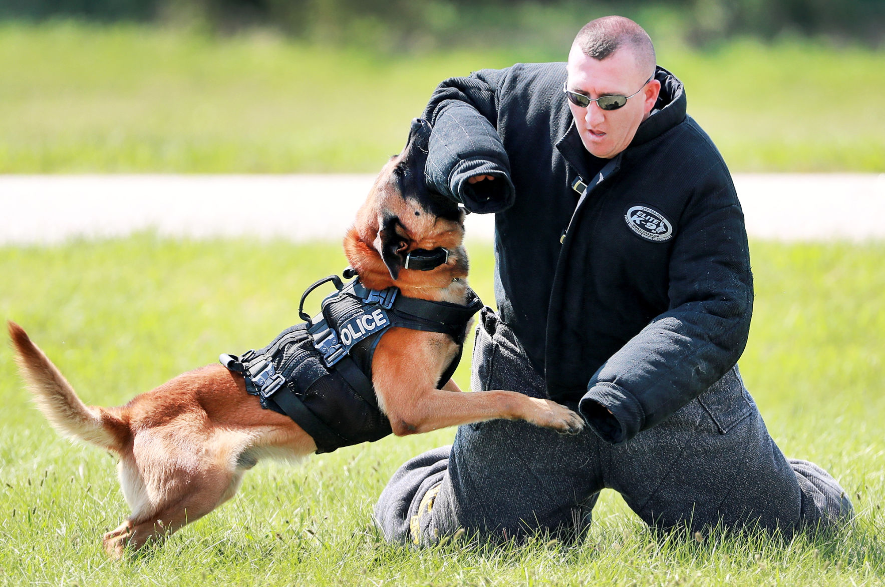 090619_StevensPDDogs001_bjs.JPG